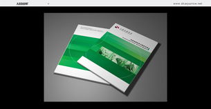 聚焦視覺(jué)傳達(dá) 解析上海浦東與太倉(cāng)地區(qū)的專業(yè)設(shè)計(jì)服務(wù)矩陣